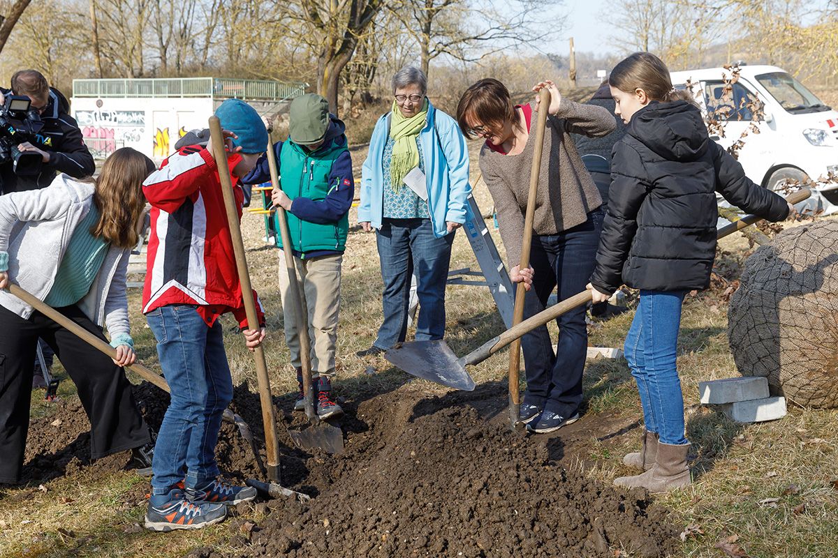 Fotografie - Kinder aus dem Kinderbeirat und Amtsleiterin Annerose Raith beim Ausheben eines Pflanzlochs