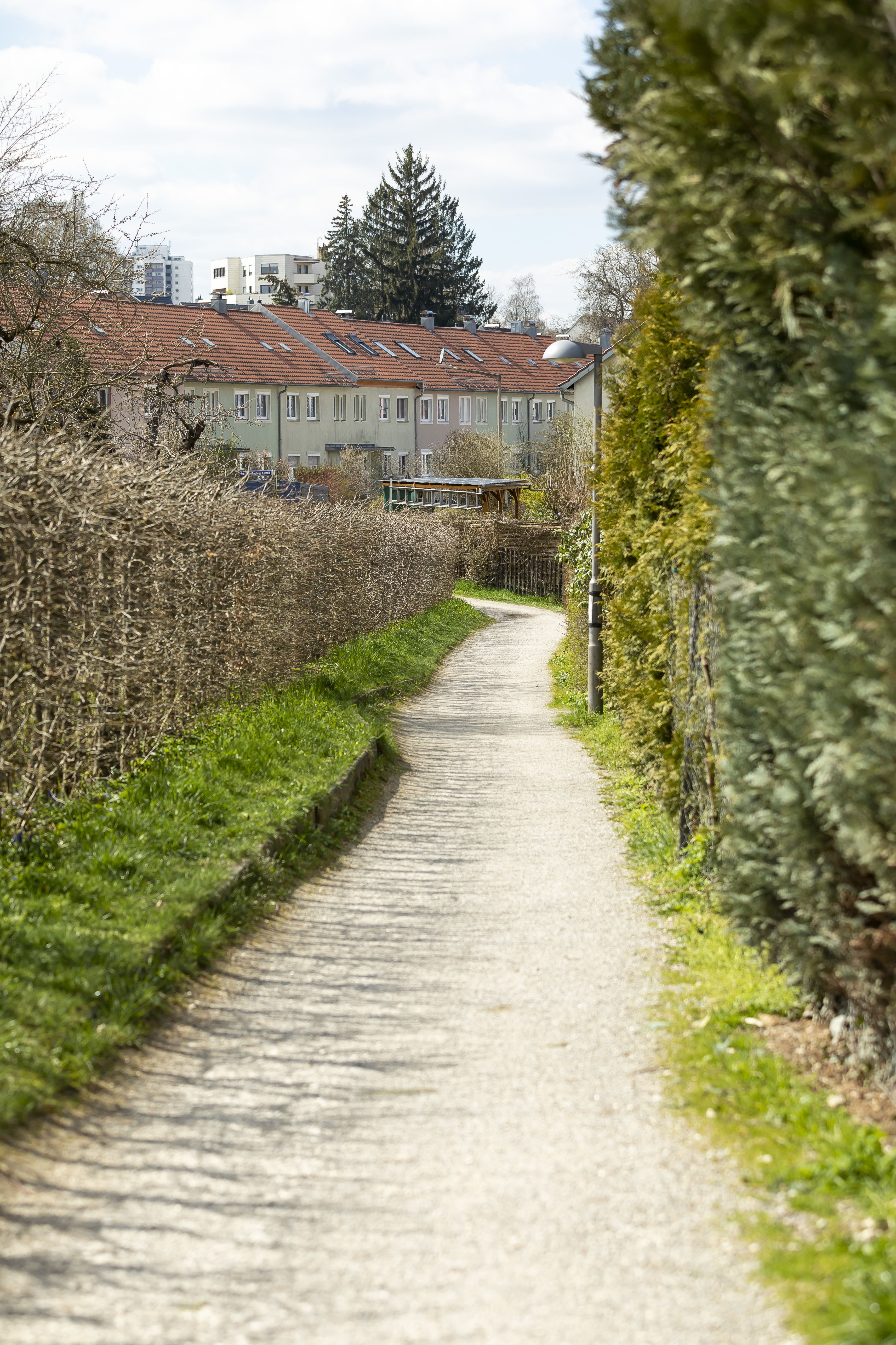 Fotografie: Weg entlang des Nordrands der Kleingartenanlage