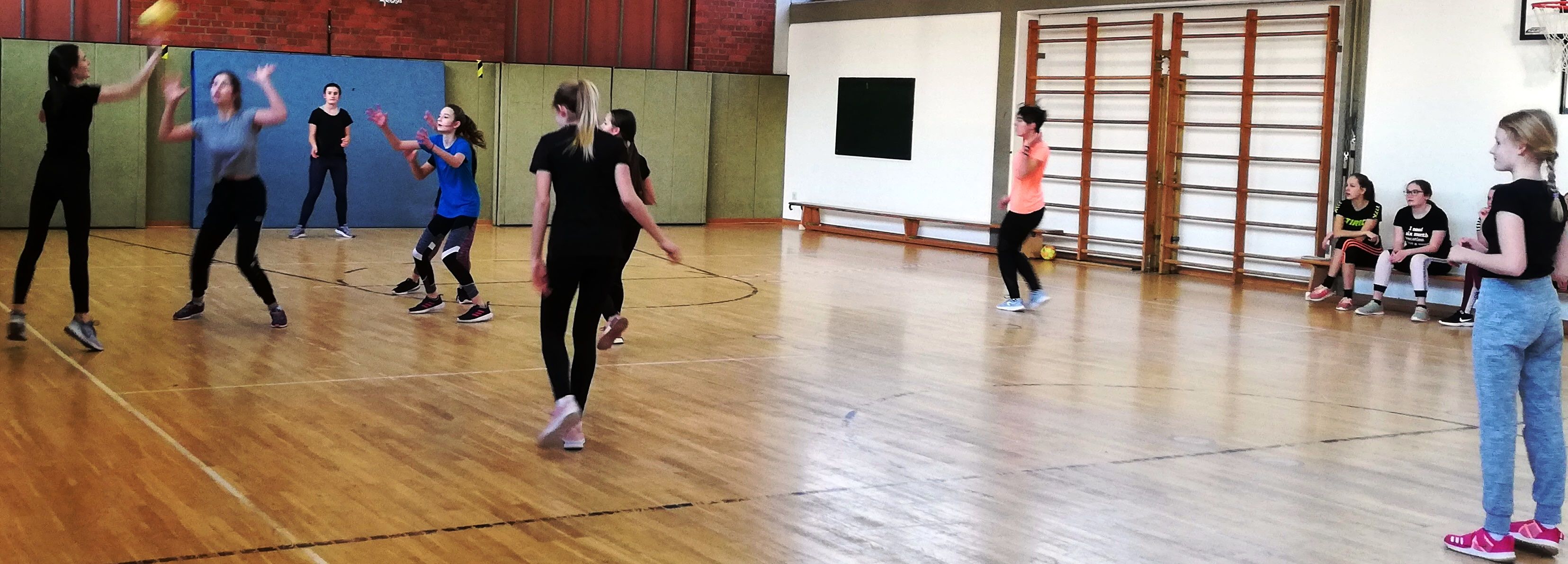 Volleyball