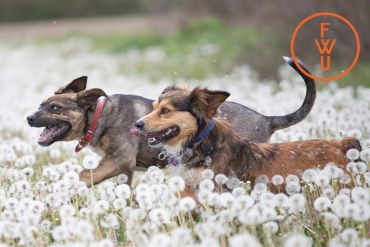 Vorschaubild Unterrichtsfilm
