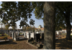 Fotografie - Friedhof