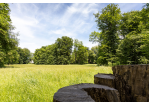 Fotografie -  Sommerwiese