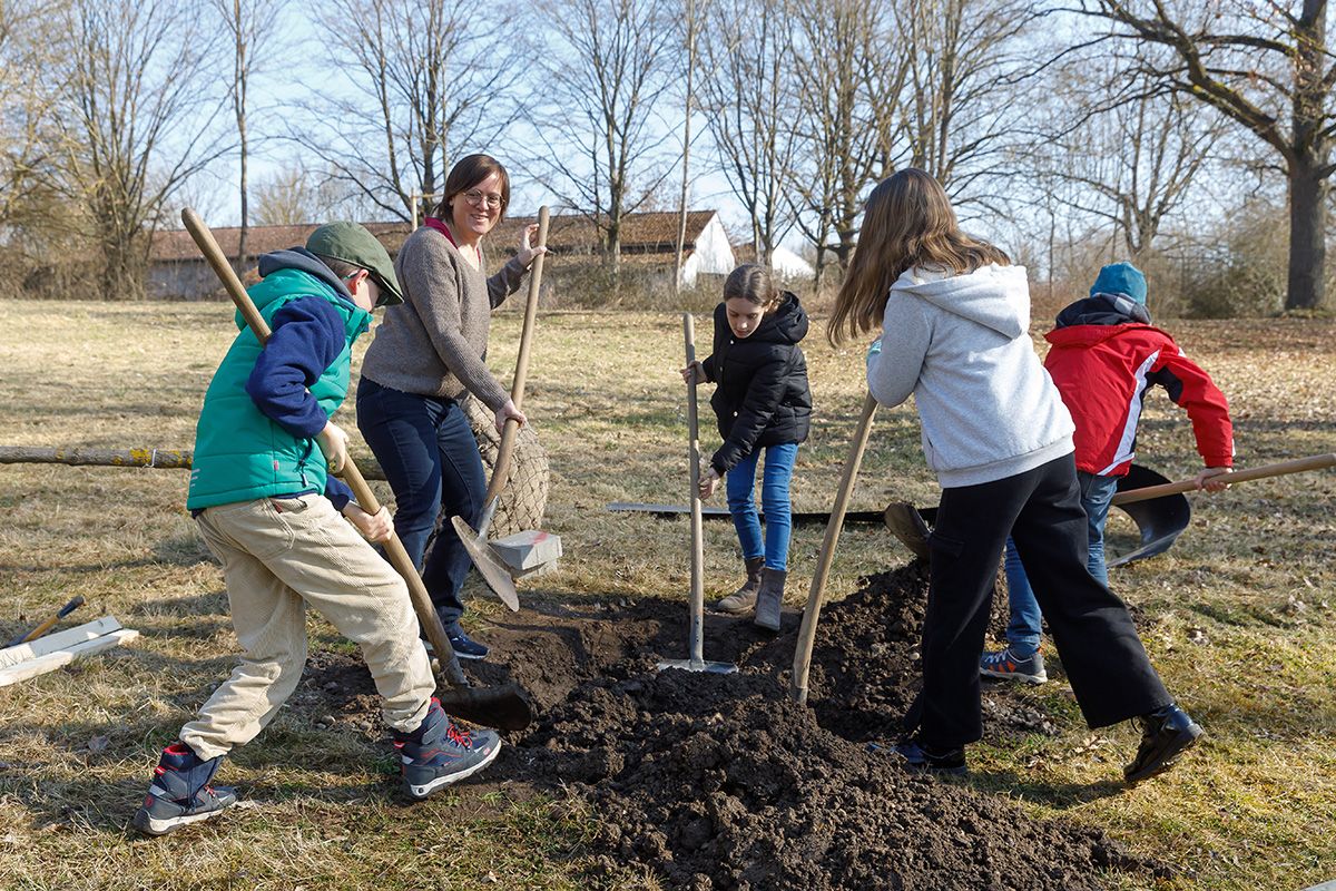Fotografie - Mitglieder des Kinderbeirates graben ein Loch für den Baum