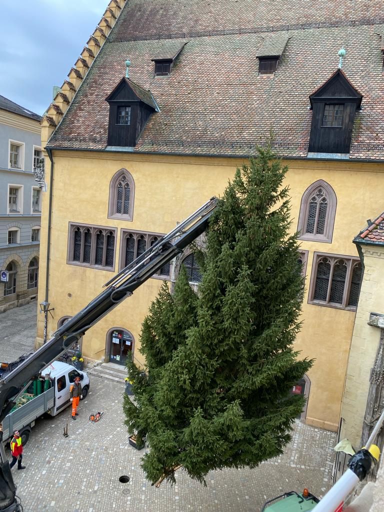 Fotografie: Aufstellen des Christbaums 2023