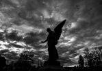 Angelus, 2023 © Hanke Stefan