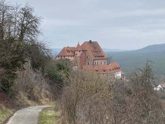 Burg Wernfels 2024 12
