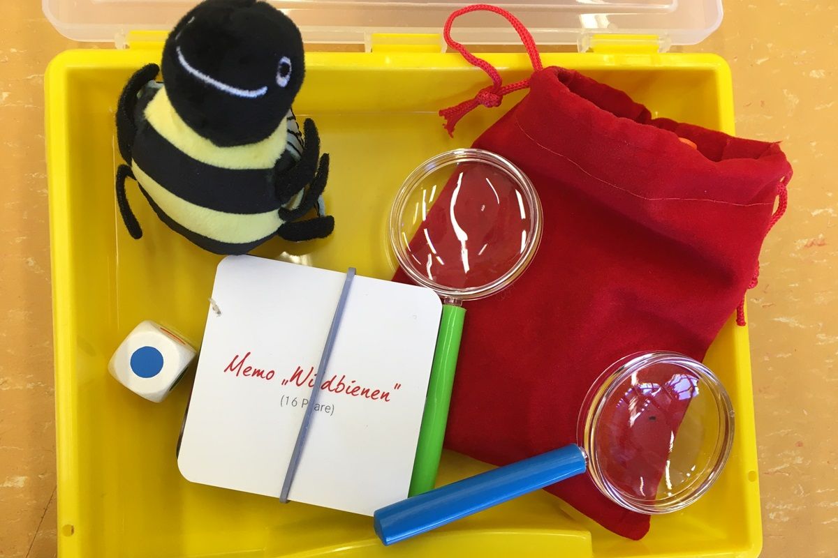 Vorschaubild Bienenkoffer