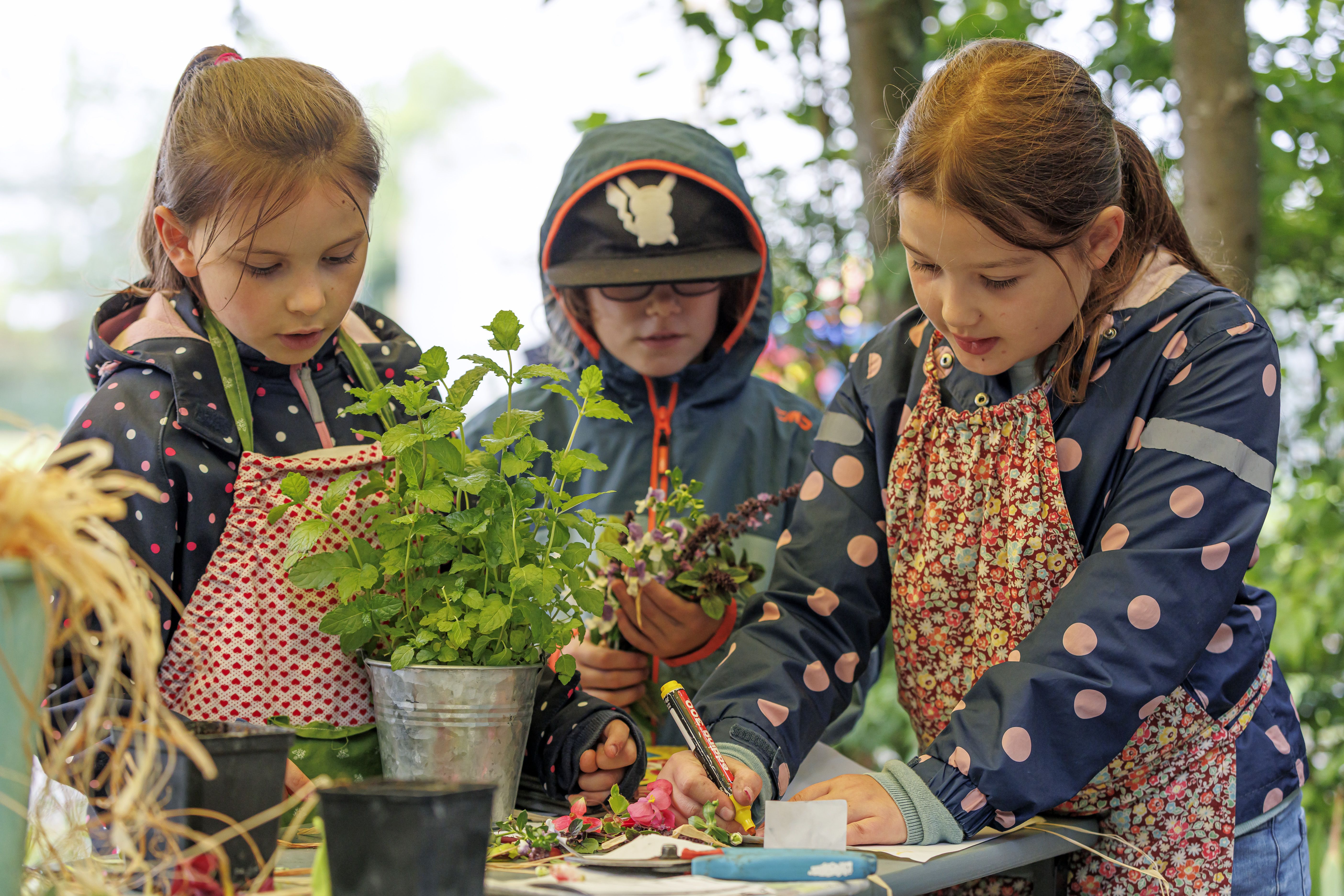 Fotografie: Drei Kinder stehen um einen Tisch mit Kräutern in der Gärtnerei von Mini-Regensburg. 
