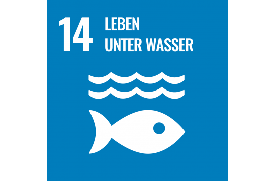 Nachhaltigkeit - Ziel 14 - Leben unter Wasser 