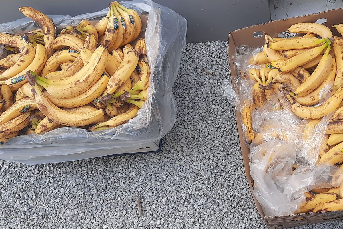 Fotografie - Bananen in Kartons