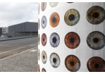 Kultur - Litfaßsäulen 2 (C) Bilddokumentation Stadt Regensburg