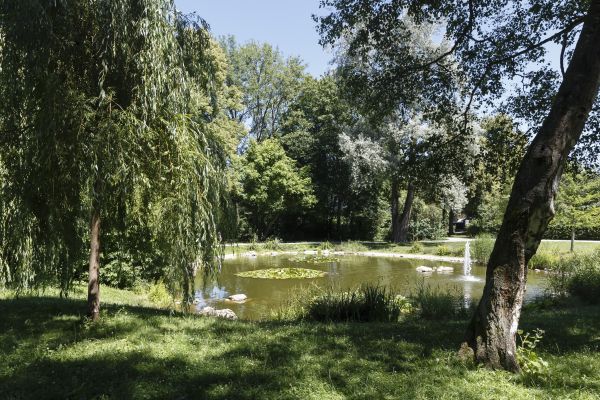 Fotografie: Gewässer im Charlotte-Brandis-Park