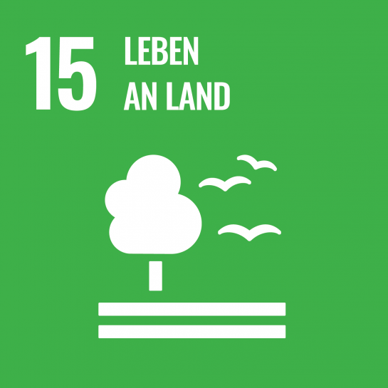 Nachhaltigkeit - Ziel 15 - Leben an Land  (C) United Nations Department of Public Information