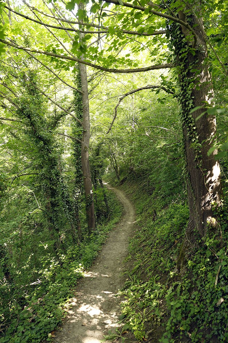 Fotografie - Wanderweg