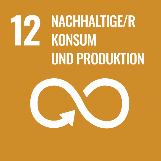 Nachhaltigkeit - Ziel 12 - Nachhaltige/r Konsum und Produktion (C) United Nations Department of Public Information