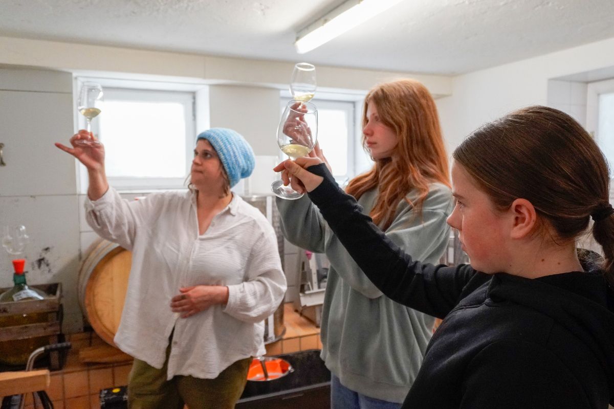 Fotografie - Drei weibliche Personen stehen in einem Innenraum und halten Weingläser gegen das Licht; eine erwachsene Person erklärt etwas, während zwei jüngere weibliche Personen den Inhalt der Gläser aufmerksam betrachten