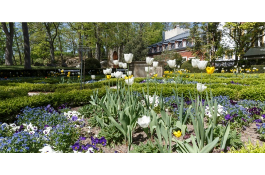 Fotografie: Frühling im Herzogspark