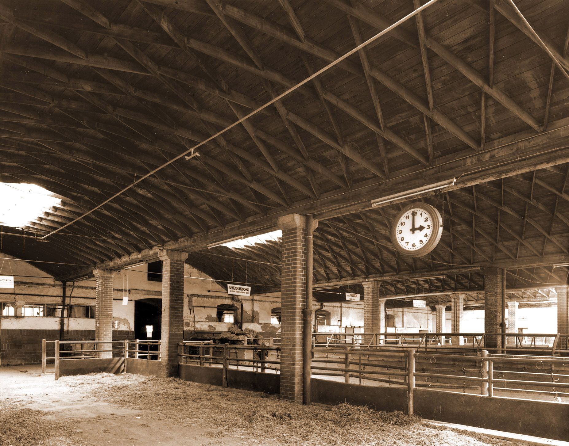 Fotografie: Der Schlachthof in den neunziger Jahren