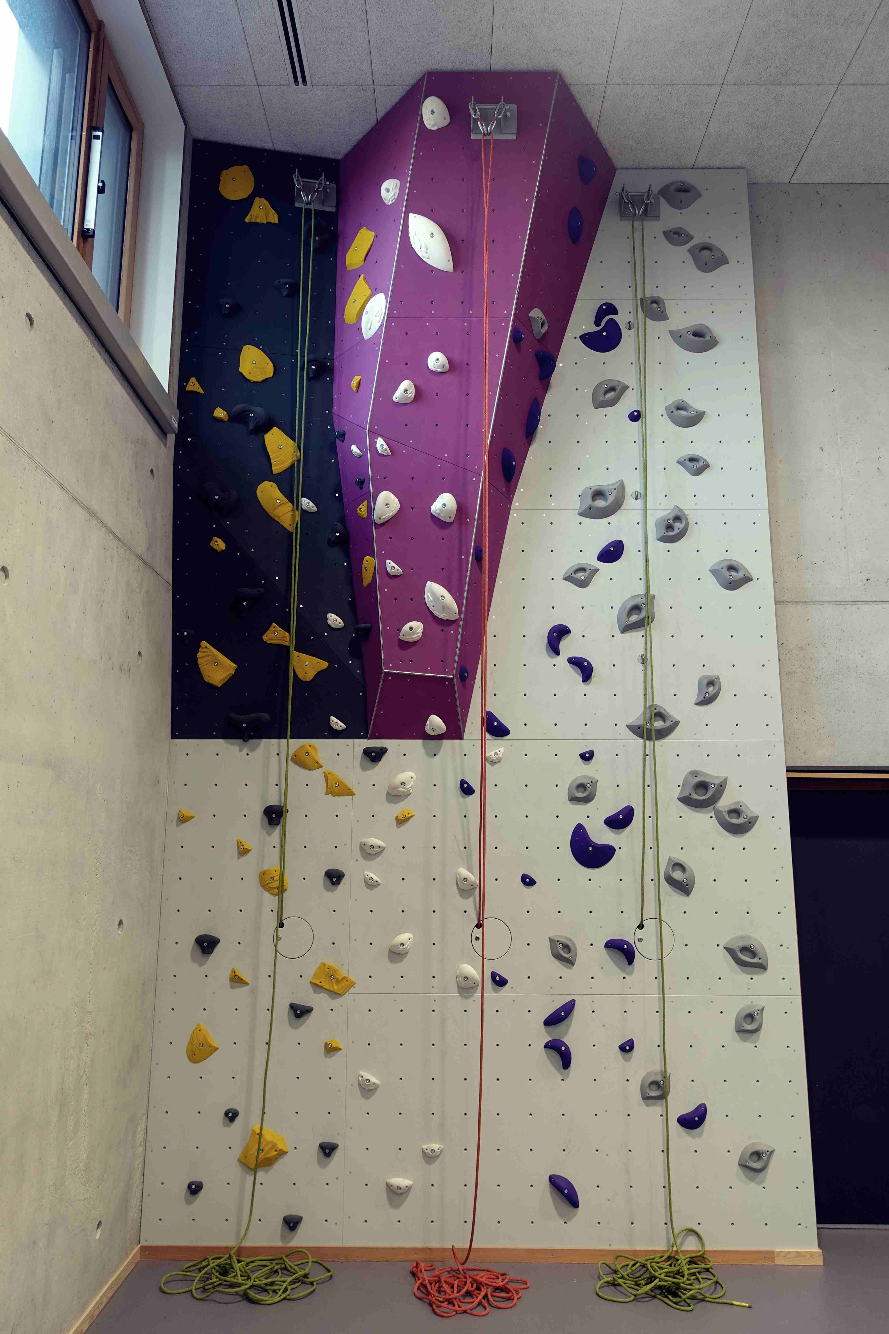 Auf dem Foto ist eine Kletterwand zu sehen.