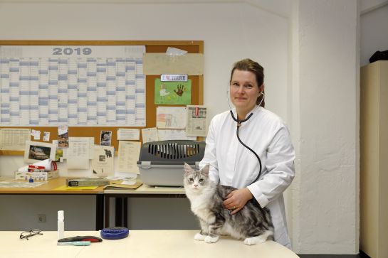 Dr. Dagmar Grandel kümmert sich um die Einhaltung des Tierschutzes und die Bekämpfung von Tierseuchen. (C) Bilddokumentation Stadt Regensburg