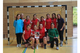Handball Bezirksfinale Mädchen IV