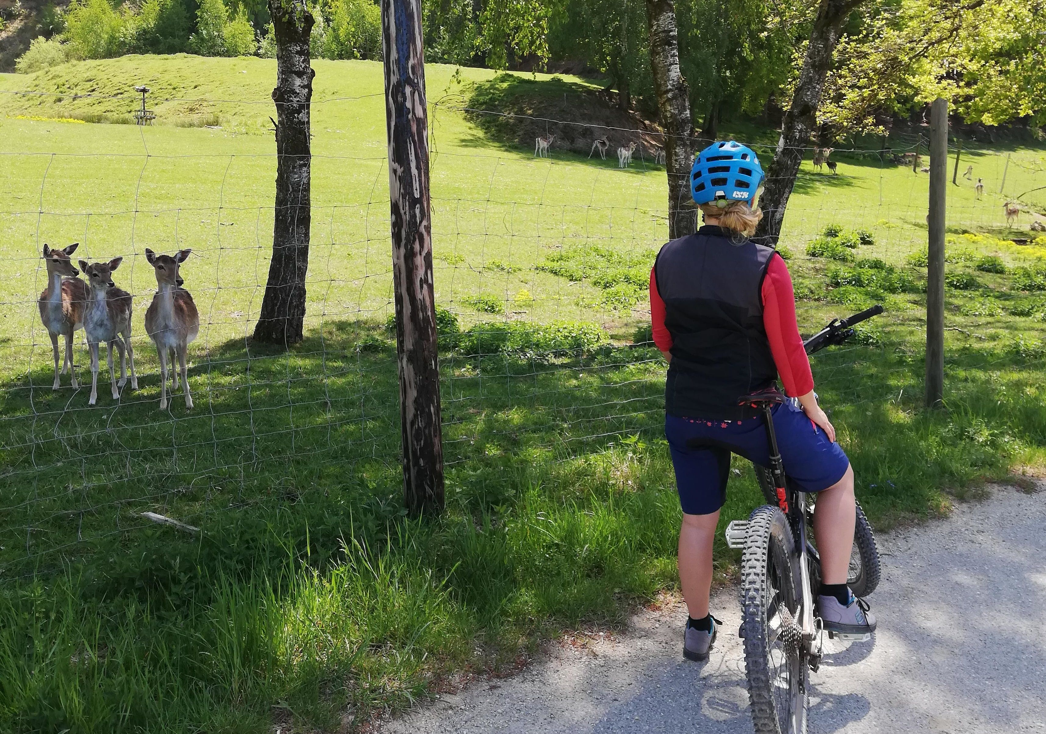 drei mit eins