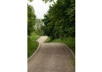 Fotografie - Weg im Park (C) Bilddokumentation Stadt Regensburg