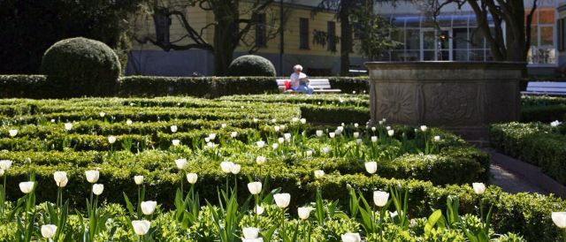 Fotografie - Frühling