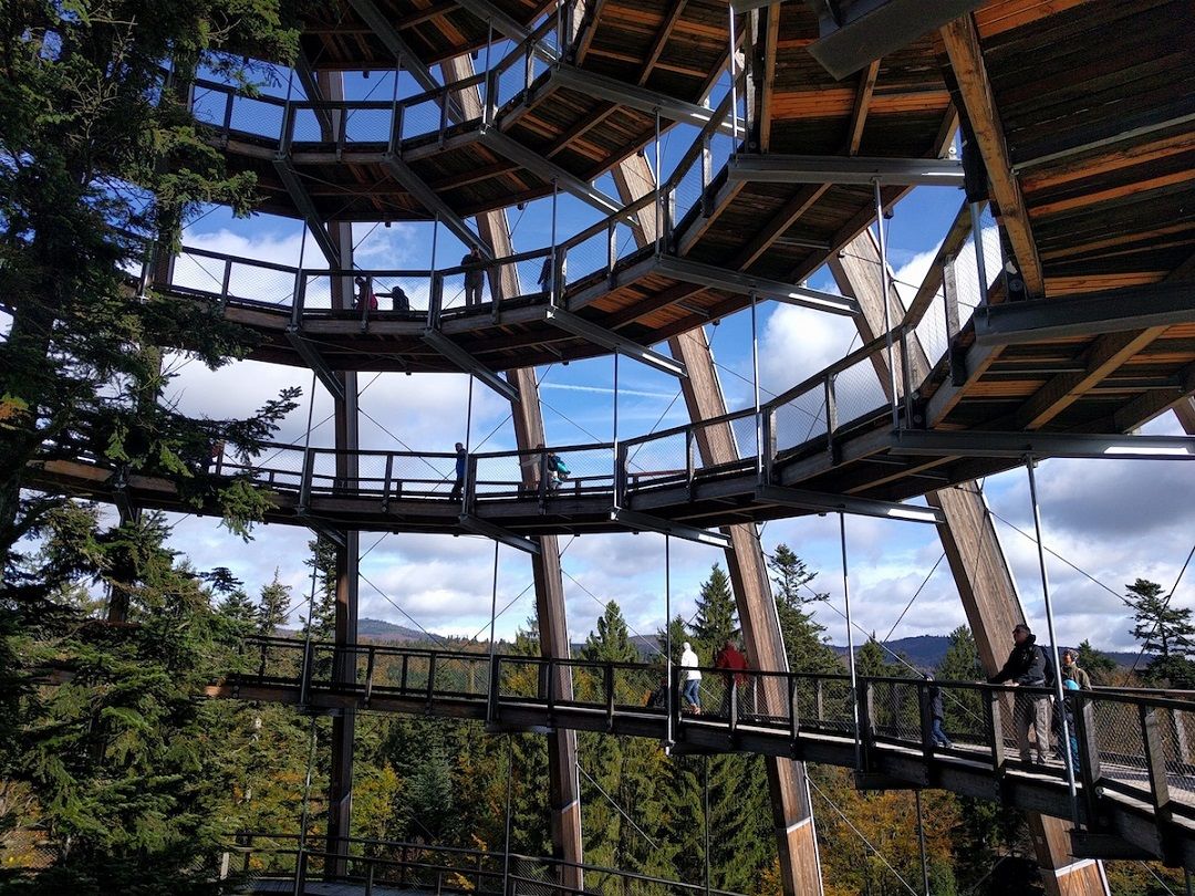 Kennenlerntage 2017 Baumwipfelpfad