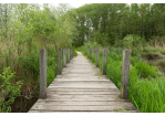 Fotografie - Bohlenweg im Park