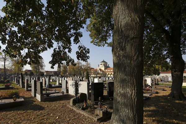 Fotografie - Friedhof