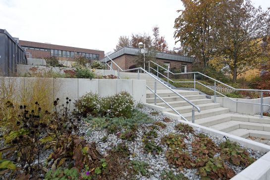 Fotografie: Die Trockenbeete an der Albert-Schweitzer-Realschule wurden 2015 angelegt.