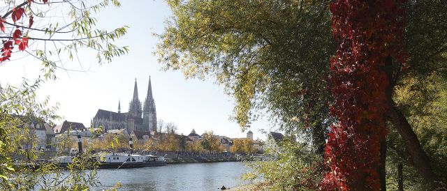 Fotografie - Blick zum Dom