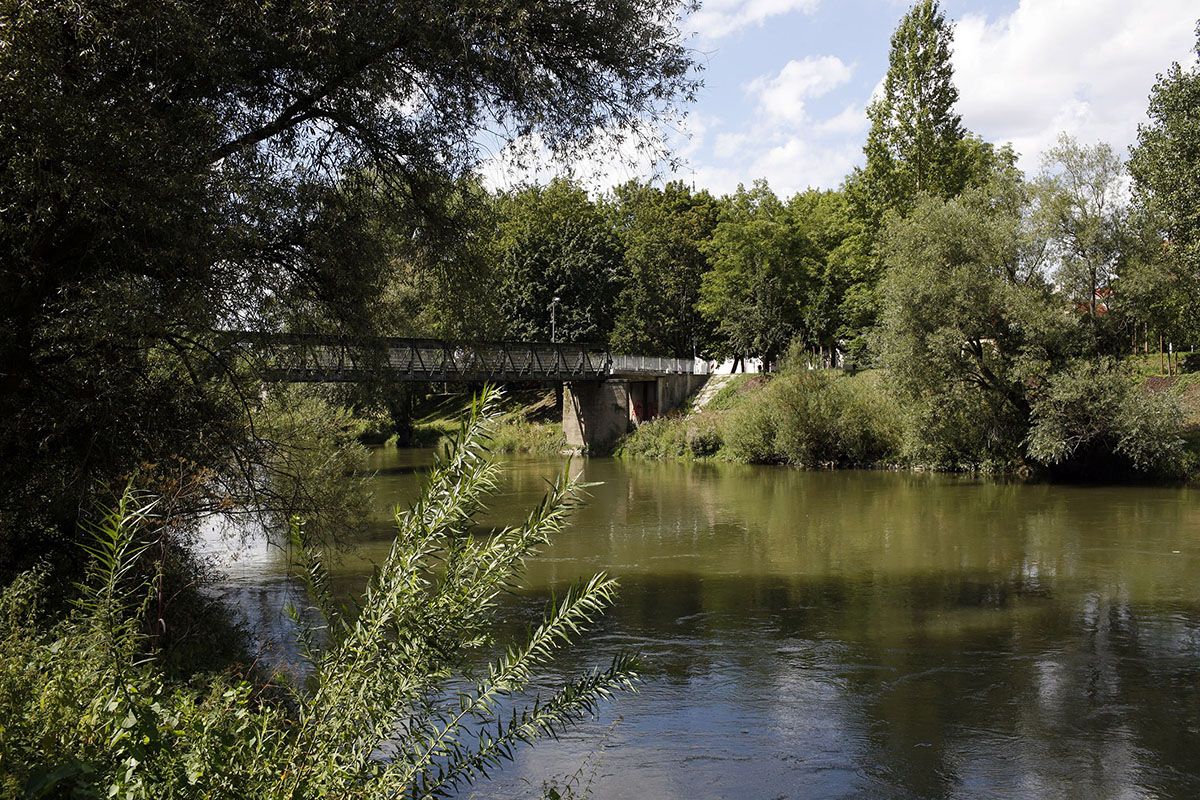 Fotografie - Fußgängerbrücke umgeben von Bäumen über die Donau