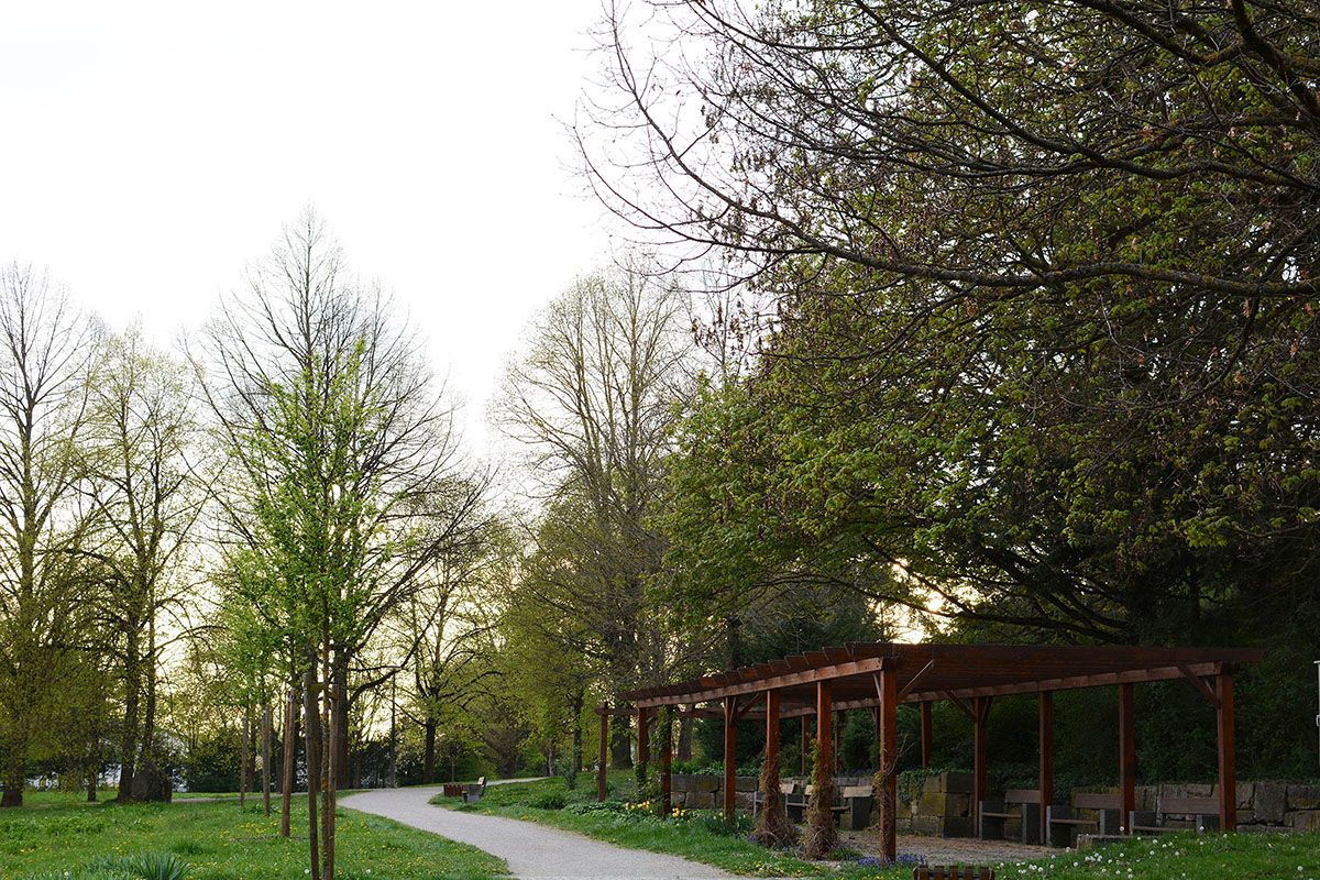Fotografie - Spazierweg