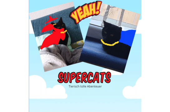 KKB 24. März Supercats