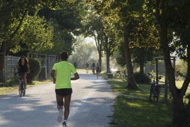 Friedliches Nebeneinander: Jogger, Radfahrer und Spaziergänger auf dem Donau-Radweg