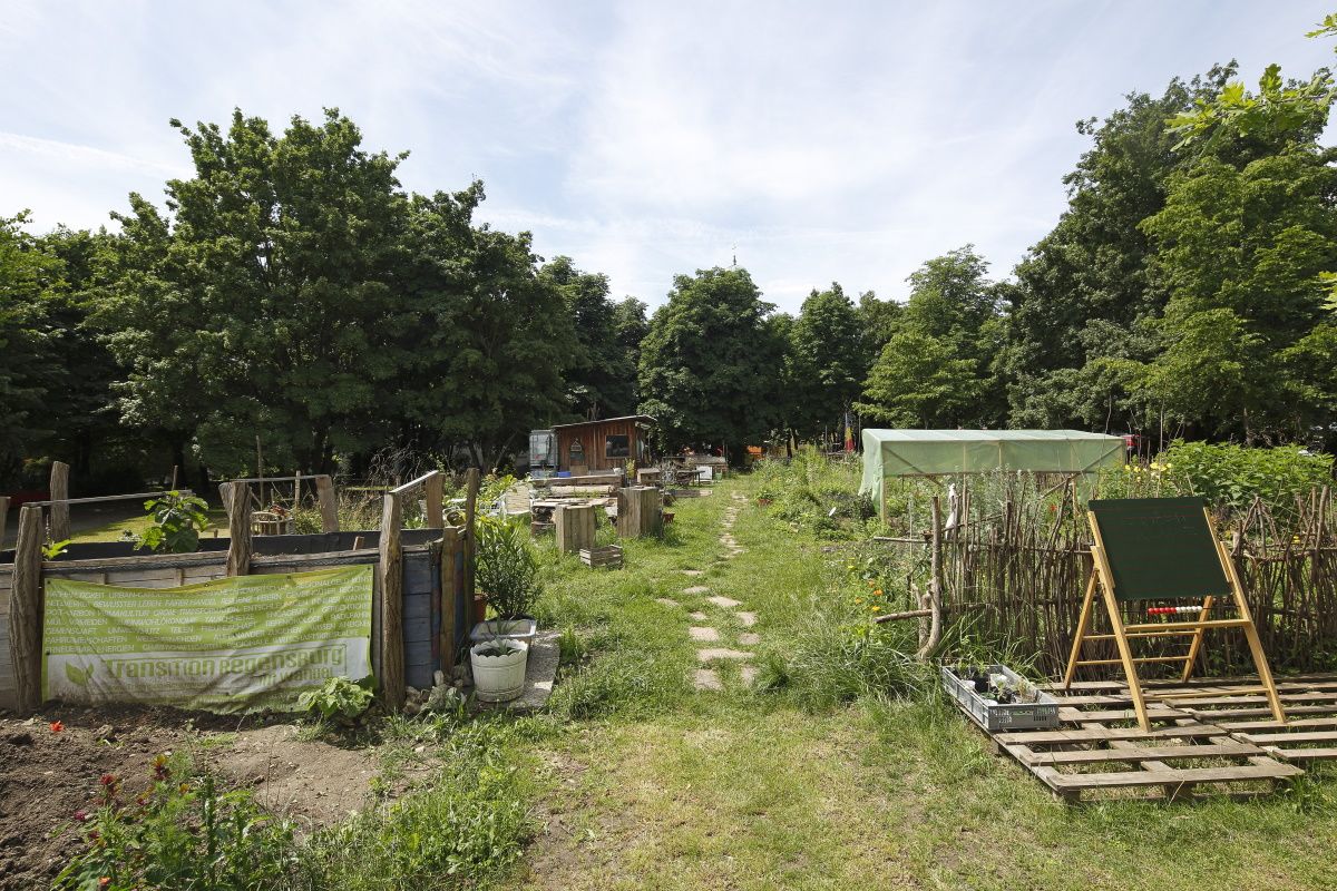 Fotografie - Gemeinschaftsgarten Transition