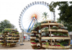 Fotografie - Grow Rooms - Begehbare Holzkugeln mit Pflanzen