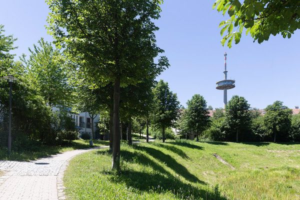 Fotografie -  Fernsehturm