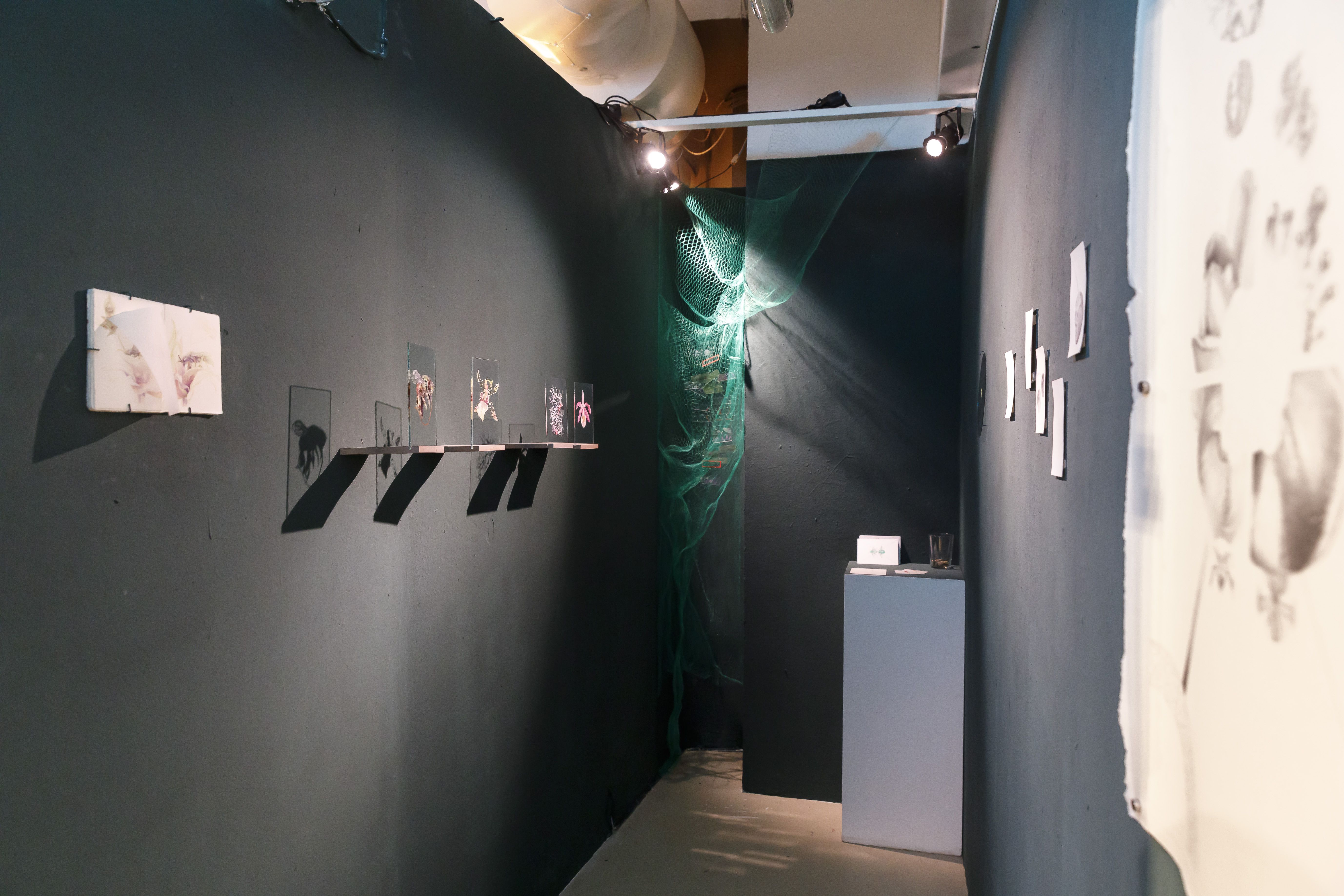Fotografie – die kleinste galerie