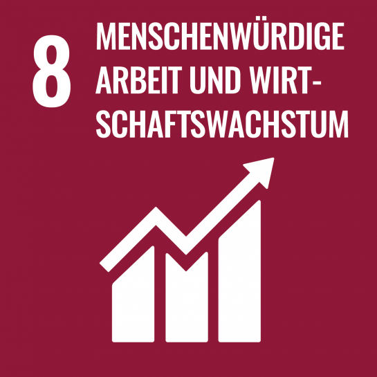 Nachhaltigkeit - Ziel 8 - Menschenwürdige Arbeit und Wirtschaftswachstum (C) United Nations Department of Public Information