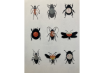 Fotografie – Großaufnahme von neun Käfern aus Vinyl
