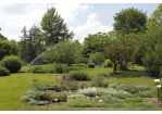 Fotografie: Blick in die Bepflanzung des Botanischen Gartens