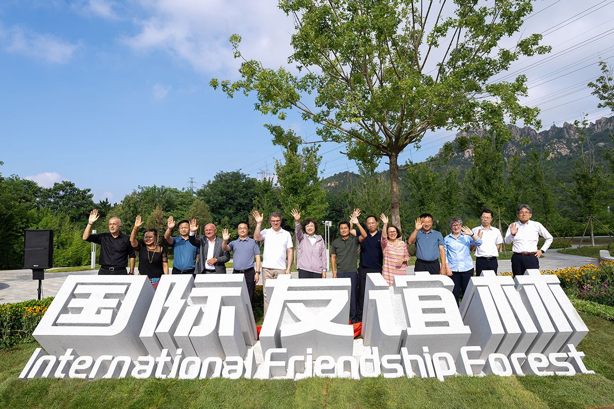 Fotografie - Die Konferenzteilnehmer besuchen den neuen Freundschafts-Wald in Qingdao