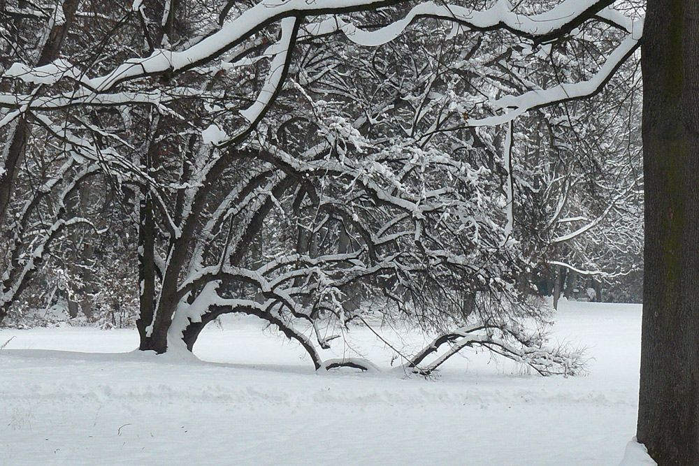 Spielleitplanung in Regensburg - Streifzüge - Winter