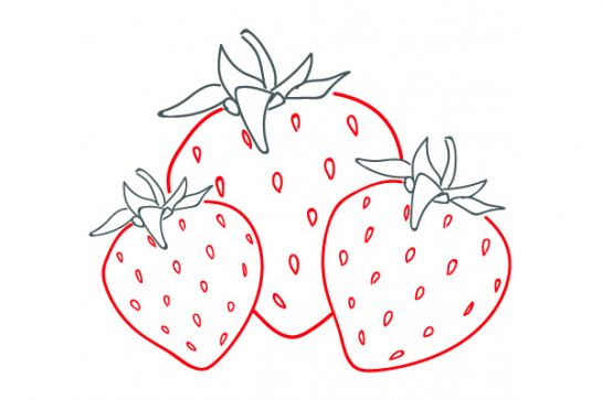 Grafik: Erdbeeren