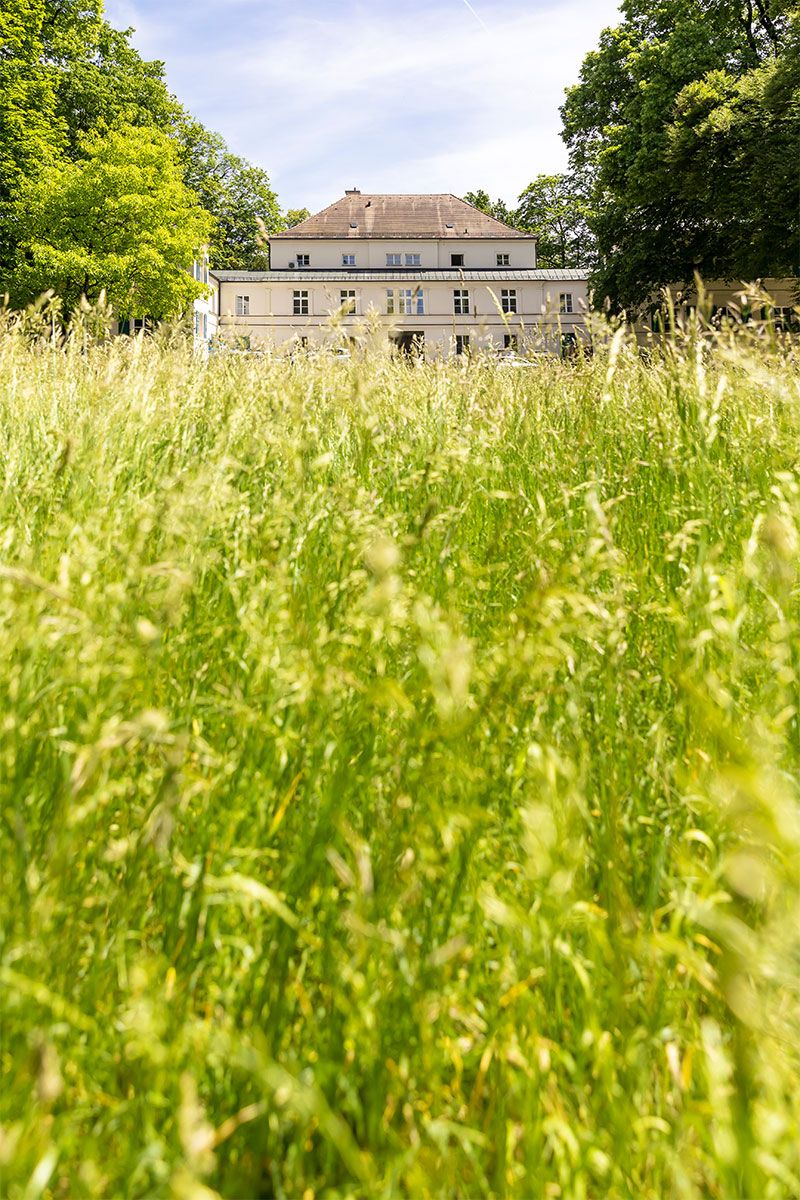 Fotografie - Dörnbergpalais