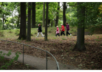 Fotografie - Walking-Gruppe