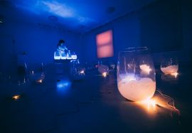 Die Fotografie zeigt eine Kunstinstallation